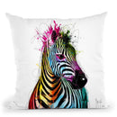 Zebra Pop Throw Pillow By Patrice Murciano