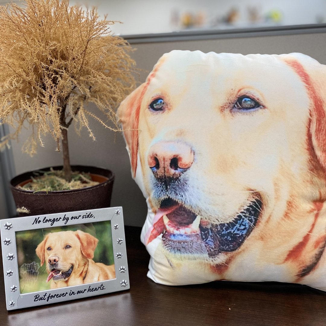Custom Dog Pillow