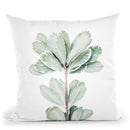 Botanical Ii Throw Pillow By Sisi And Seb