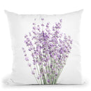 Lavender Throw Pillow By Sisi And Seb