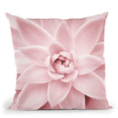 Pink Succulent Throw Pillow By Sisi And Seb