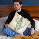 Chesapeake 1873 Throw Pillow By Adam Shaw