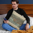 Chicago 1907 Throw Pillow By Adam Shaw