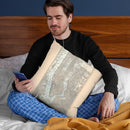 New York City 1893 Throw Pillow By Adam Shaw