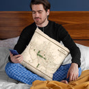 Washington Dc 1876 Throw Pillow By Adam Shaw