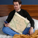 Washington Dc 1892 Throw Pillow By Adam Shaw