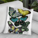 Big Bold Butterflies 6 Throw Pillow By World Art Group