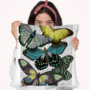 Big Bold Butterflies 6 Throw Pillow By World Art Group
