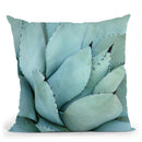 Agave Detail Iv Throw Pillow By World Art Group