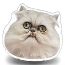 Wilfred Warrior Cute Throw Pillow