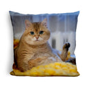 Hosico Privacy Pleaseuare Throw Pillow