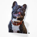 Custom French Bulldog Pillow