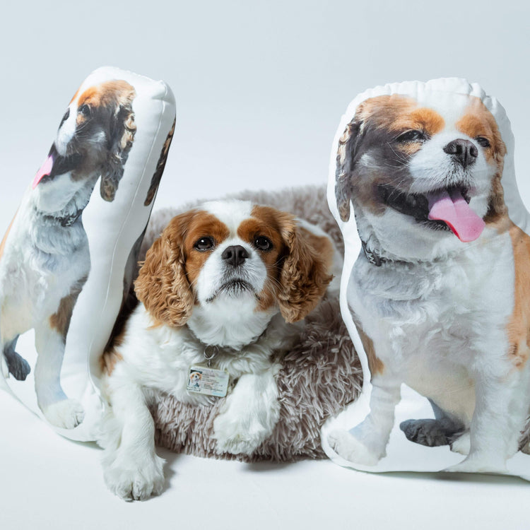 Custom Dog Shaped Pillow - All About Vibe
