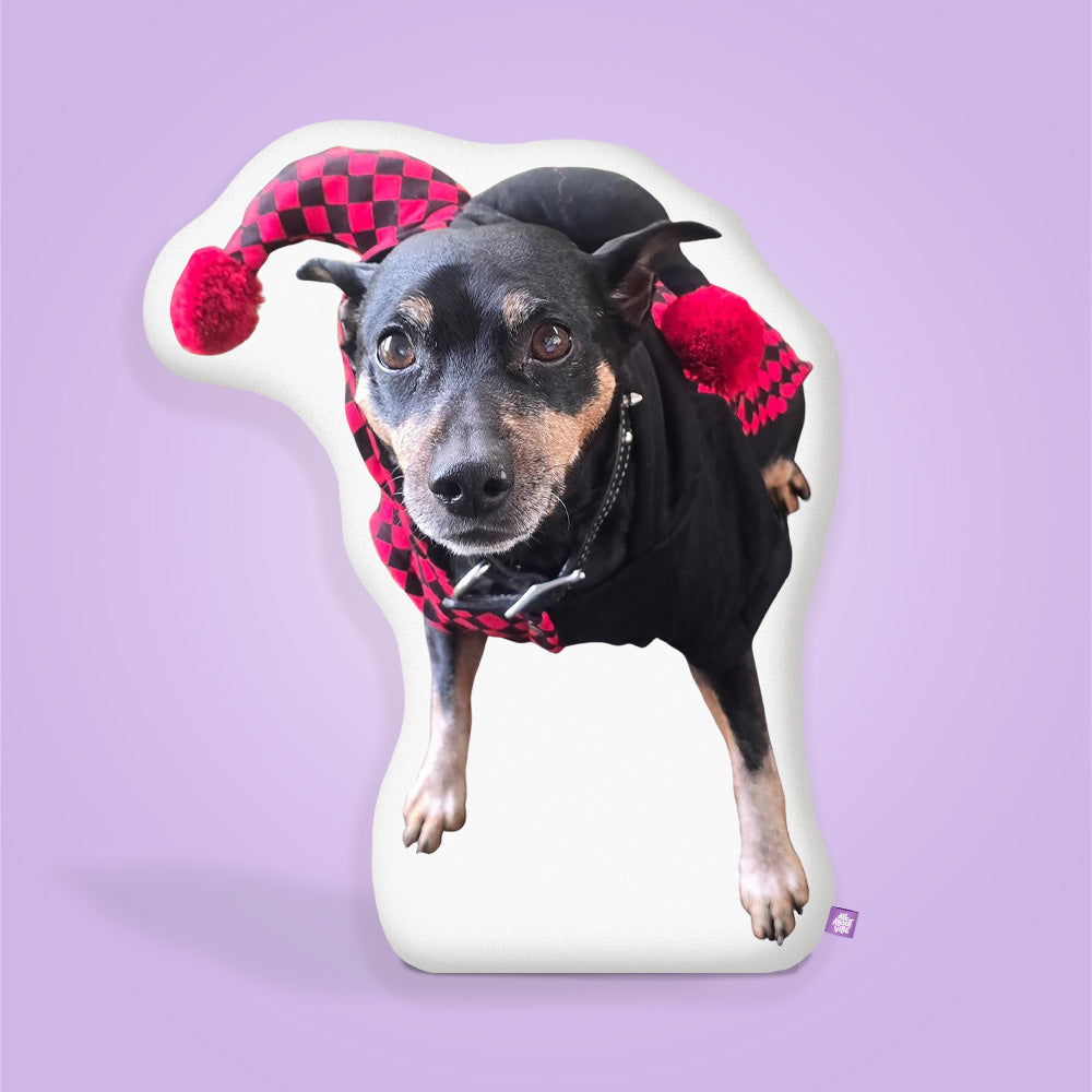 Romeo St. John Willis Pillow