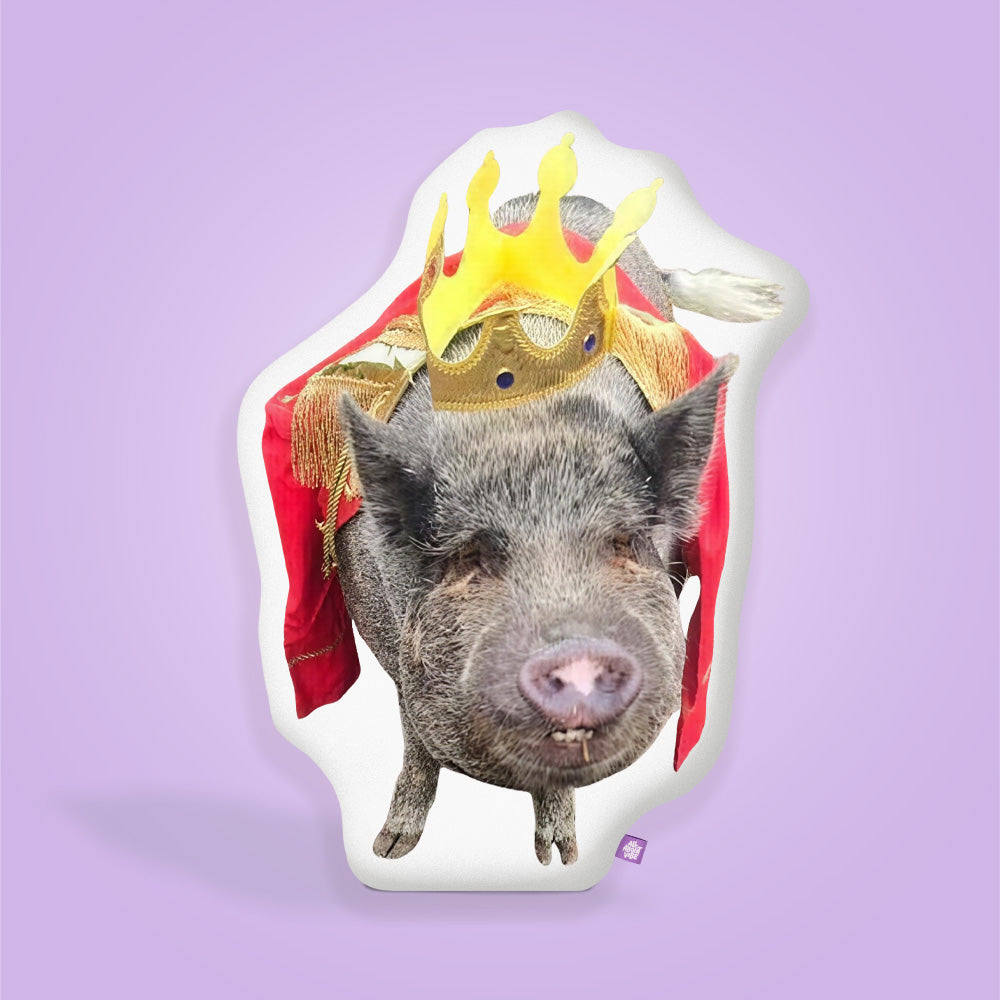 Fritz Fitzgerald Pigglesworth Pillow