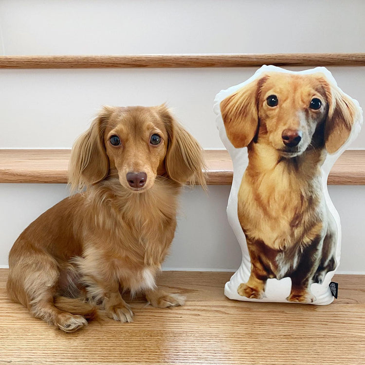 Dachshund Custom Shaped Pillow