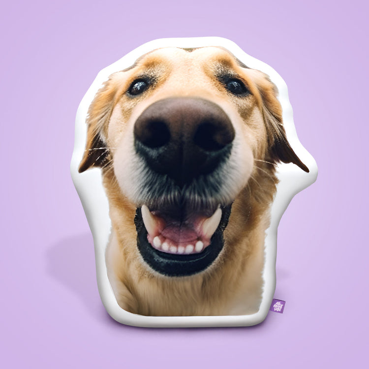 16" Small Custom Shaped Pillow