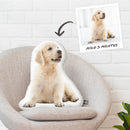 Pet Loss Custom Pillow