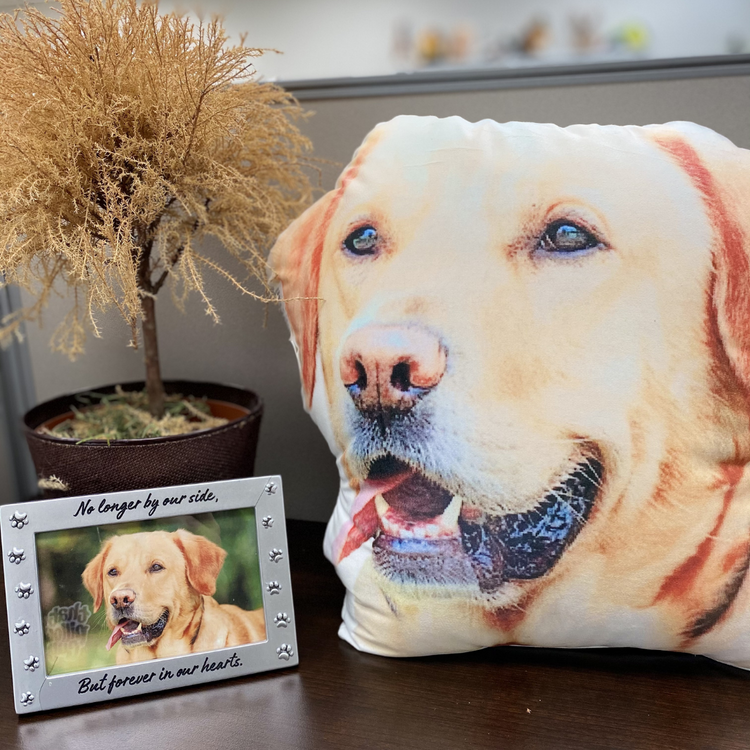 Custom Shaped Dog Photo Pillow