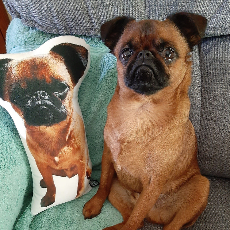 Pug Custom Shaped Pillow