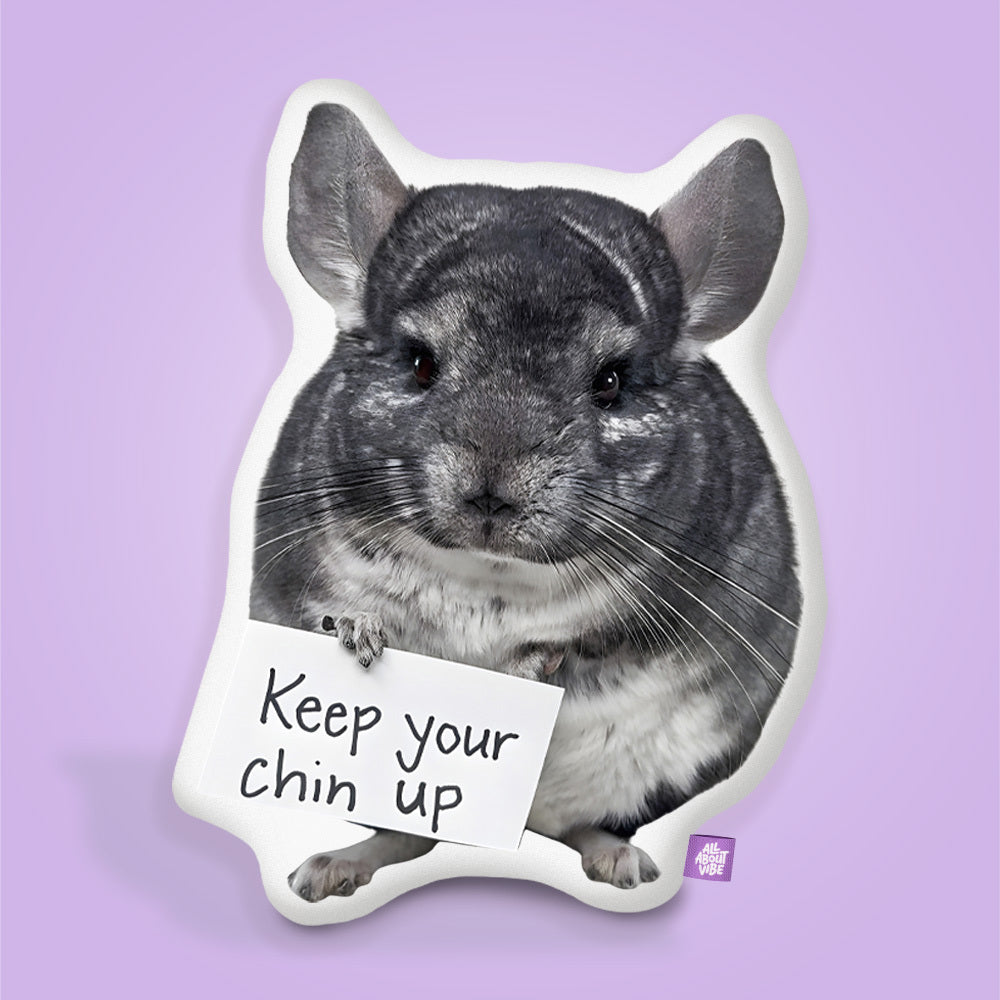 Philly Chinchilly Pillow