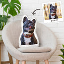Custom French Bulldog Pillow