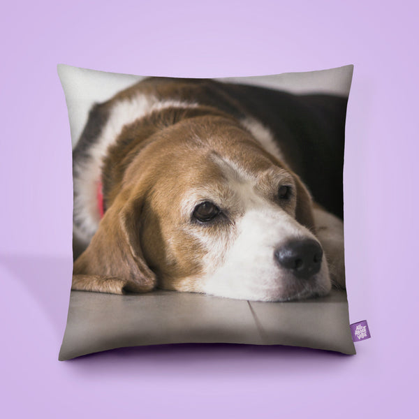 Custom Throw Pillow
