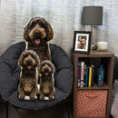 Custom Dog Pillow