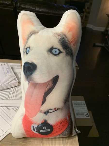 Custom Husky Shaped Dog Pillow