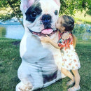 Custom Lifesize Pillow