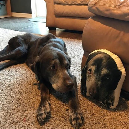 Personalized German Shorthaired Pointer Pillow