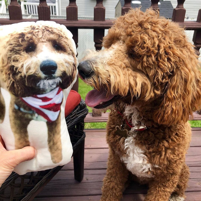 Personalized Poodle Pillow