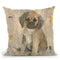 Paco V2 Throw Pillow By Albena Hristova