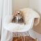Brown Bear Throw Pillow By Animal Crew - by all about vibe