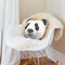 Panda Throw Pillow By Animal Crew - by all about vibe