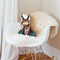 Pronghorn Deer Shaped Throw Pillow by Animal Crew - by all about vibe