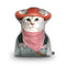 Rodeo Cat Shaped Throw Pillow by Animal Crew - by all about vibe
