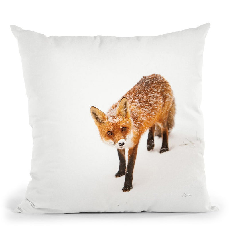 Red Fox Ii Throw Pillow By Aledanda