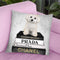 Books Of Fashion, Grey, Maltese, Grey Grunge Throw Pillow By Amanda Greenwood