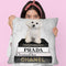 Books Of Fashion, Grey, Maltese, Grey Grunge Throw Pillow By Amanda Greenwood