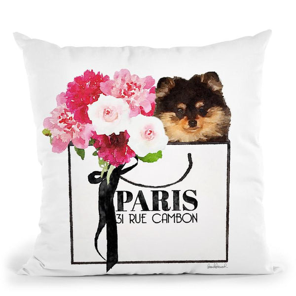Shopping Bag Pomeranian Black Throw Pillow By Amanda Greenwood