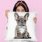 Grey French Bulldog With Blue Bow Tie Throw Pillow By Amanda Greenwood