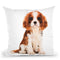 King Charles SpanielÊ Throw Pillow By Amanda Greenwood