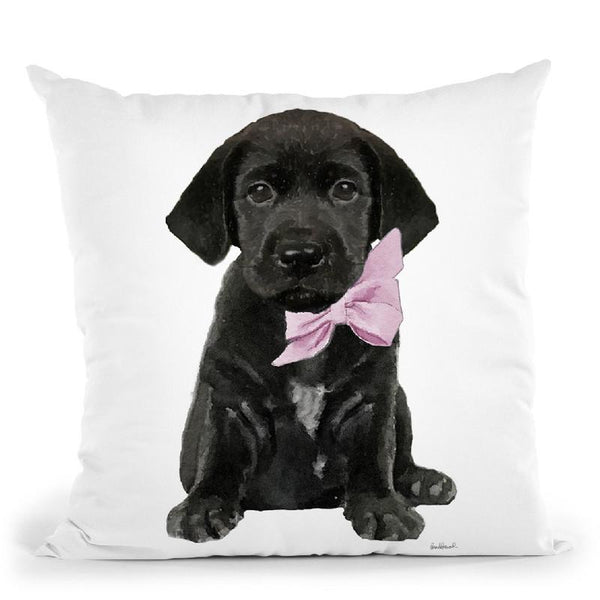 Black Labrador Throw Pillow By Amanda Greenwood