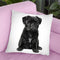 Black Pug Throw Pillow By Amanda Greenwood