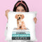 Medium Books Teal Tone, Labrador Puppy Throw Pillow By Amanda Greenwood