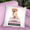Medium Books Pink Tone, Labrador Puppy Throw Pillow By Amanda Greenwood