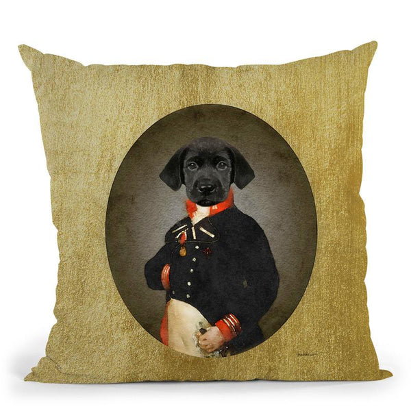 Nelson Portrait Black Lab Throw Pillow By Amanda Greenwood
