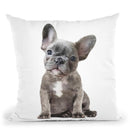 Grey Frenchie Puppy Throw Pillow By Amanda Greenwood