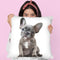 Grey Frenchie Puppy Throw Pillow By Amanda Greenwood